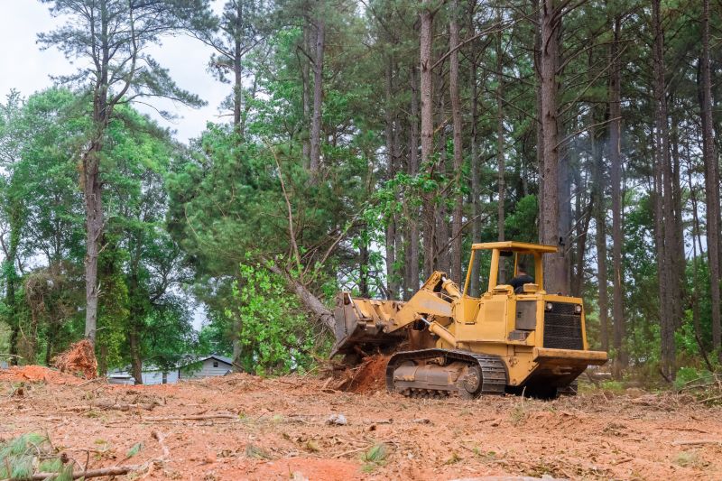 Lot Clearing Service