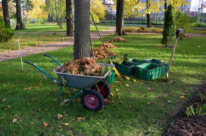 Lot Clearing Service
