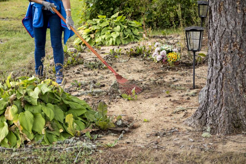 Lot Clearing Service