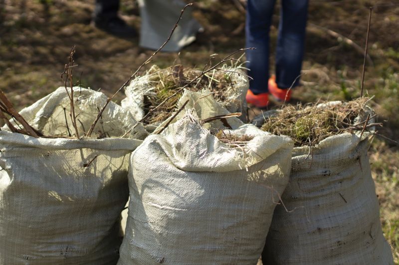 Lot Clearing Service