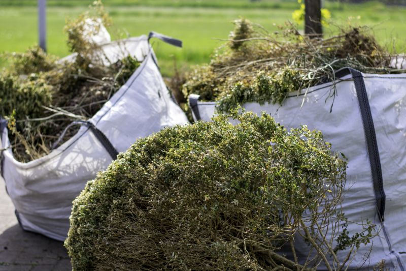Underbrush Clearing in Utah County, UT